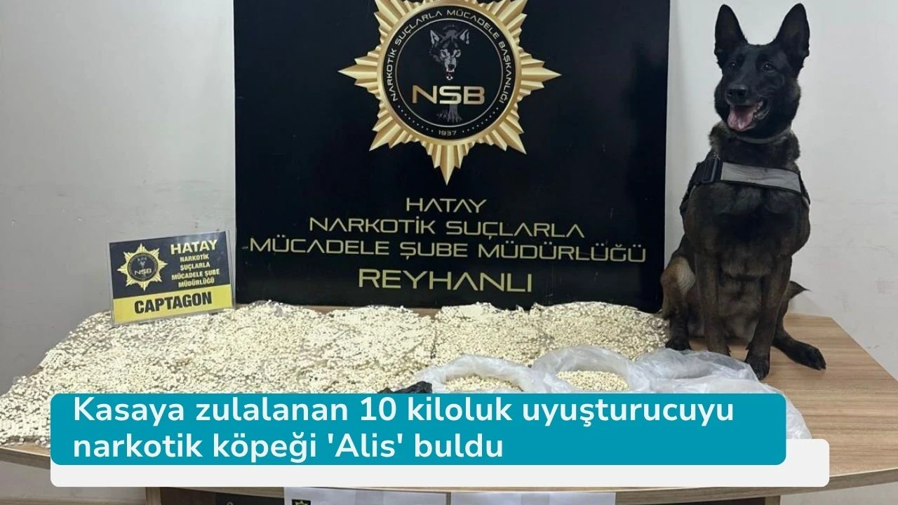 Kasaya zulalanan 10 kiloluk uyuşturucuyu narkotik köpeği 'Alis' buldu