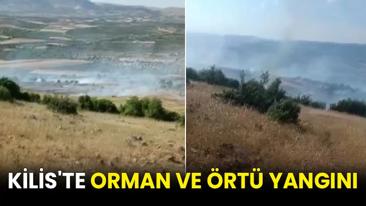 Kilis'te orman ve örtü yangını