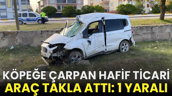 Köpeğe çarpan hafif ticari araç takla attı: 1 yaralı