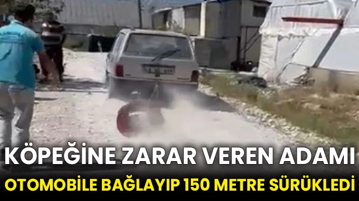 Köpeğine zarar veren adamı otomobile bağlayıp 150 metre sürükledi