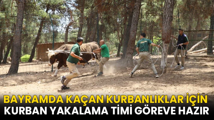 Kurban yakalama timi göreve hazır
