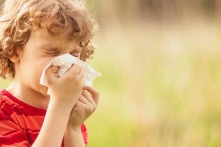 Küresel ısınma alerjik nezlelerin artış nedenlerinden