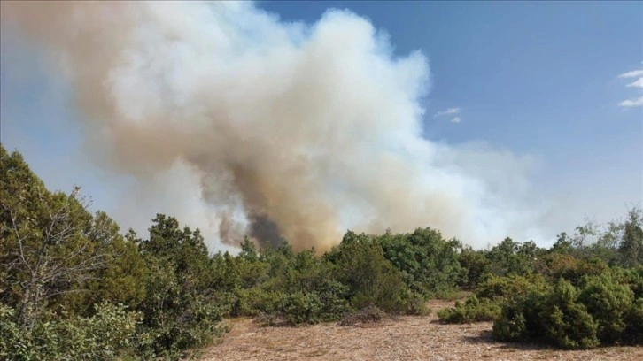 Kütahya'da çıkan orman yangınına müdahale ediliyor
