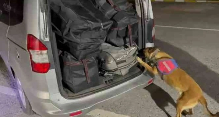 Malatya&rsquo;da piyasa değeri 10 milyon TL olan uyuşturucu ele ge&ccedil;irildi