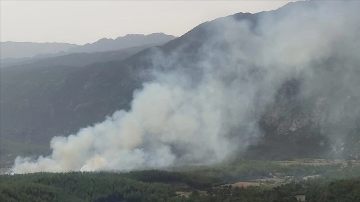 Manavgat'ta orman yangını çıktı