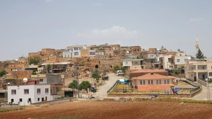 Mehmet Şimşek'in köyünde büyük sevinç
