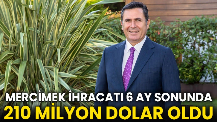 Mercimek ihracatı 6 ay sonunda 210 milyon dolar oldu