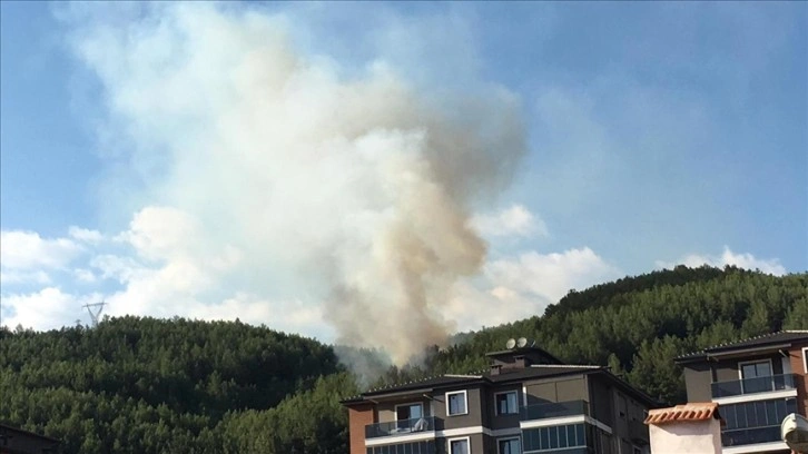 Muğla'da orman yangını &ccedil;ıktı