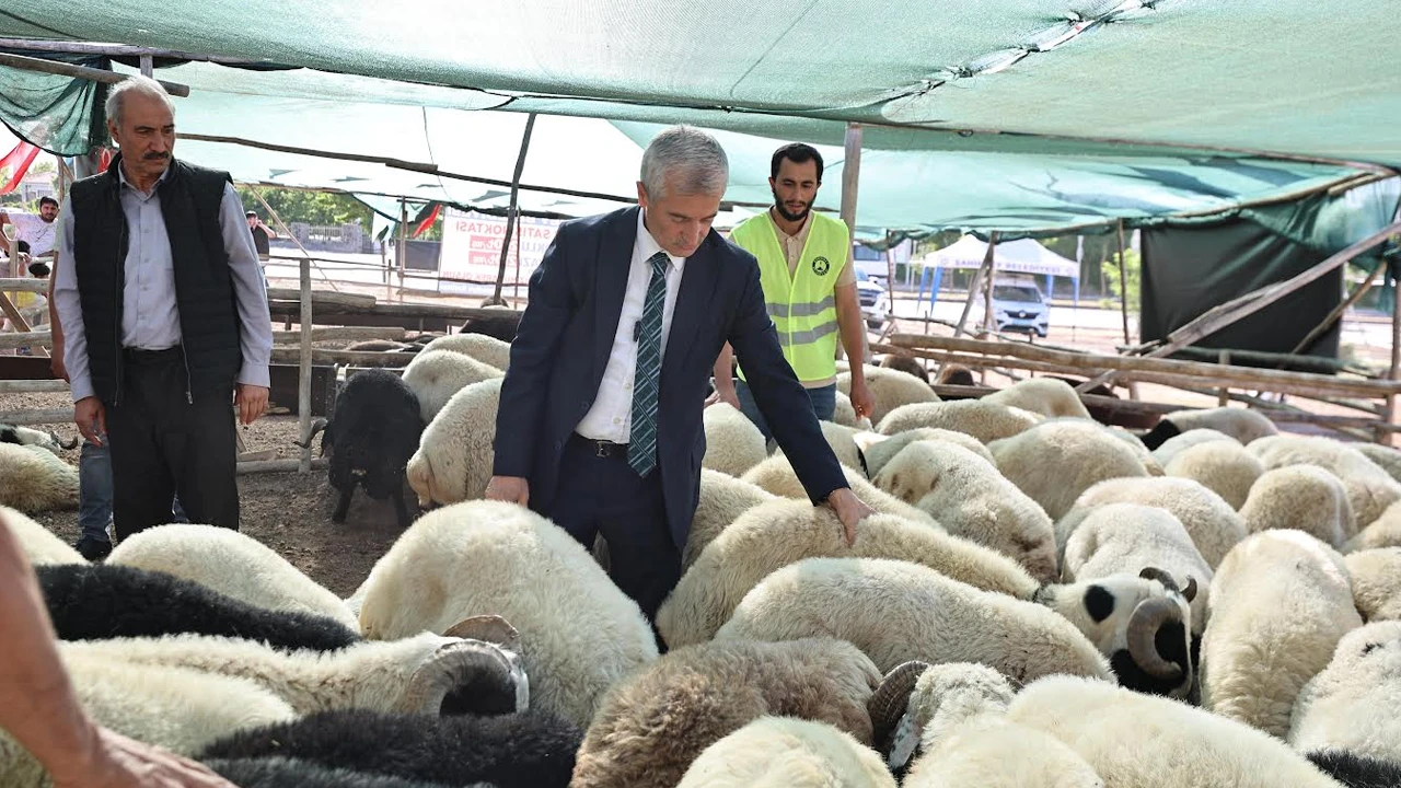 BAŞKAN TAHMAZOĞLU KURBAN FİYATLARINI AÇIKLADI