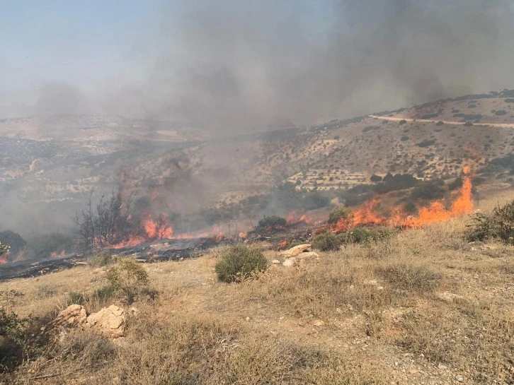 Nizip'te orman yangını 