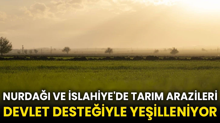 Nurdağı ve İslahiye'de tarım arazileri devlet desteğiyle yeşilleniyor