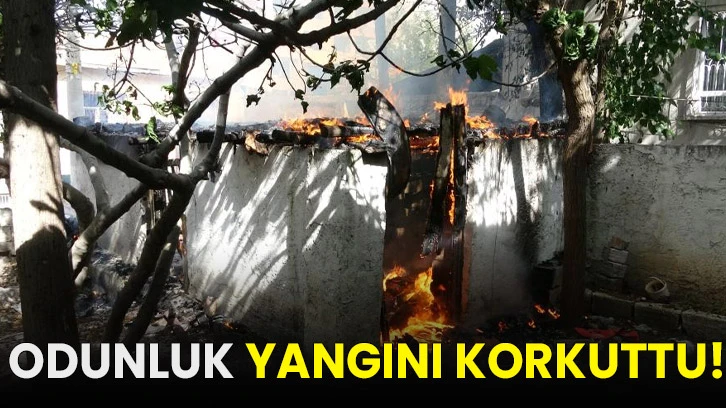 Odunluk yangını korkuttu!
