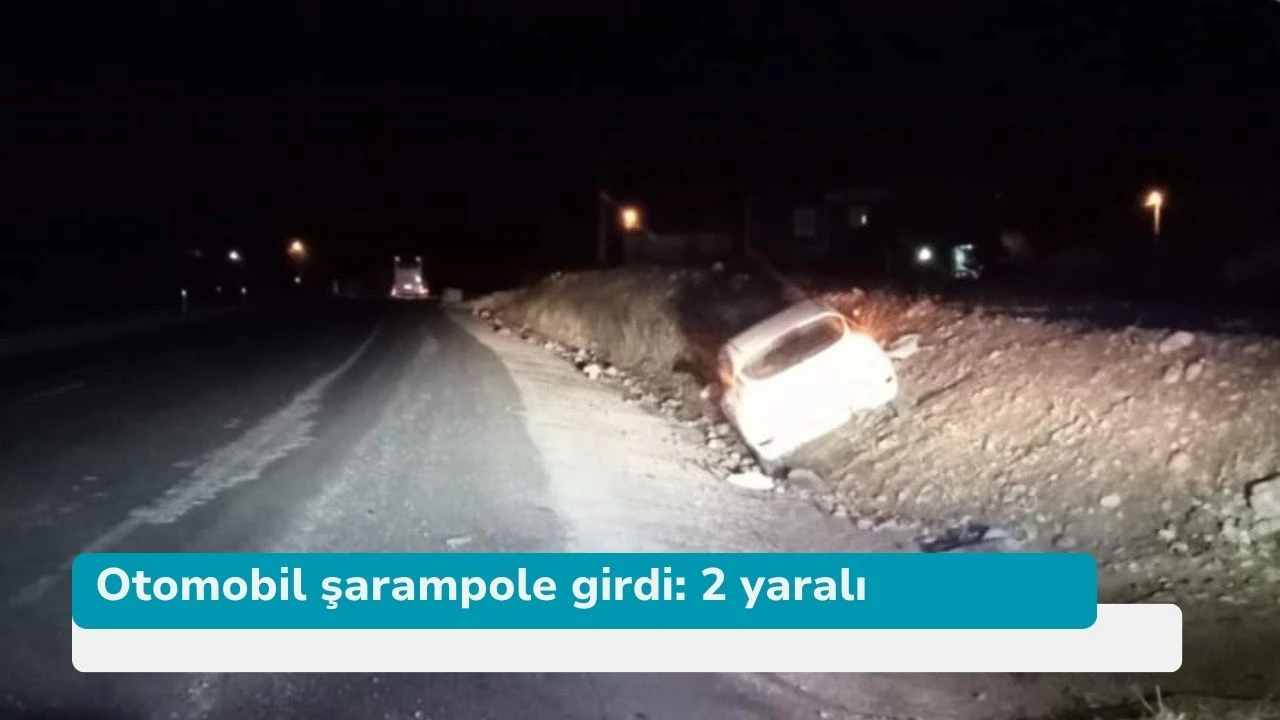 Otomobil şarampole girdi: 2 yaralı