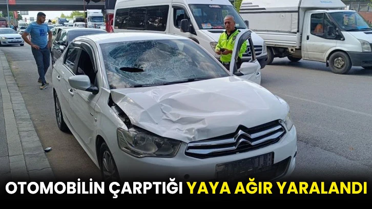 Otomobilin çarptığı yaya ağır yaralandı