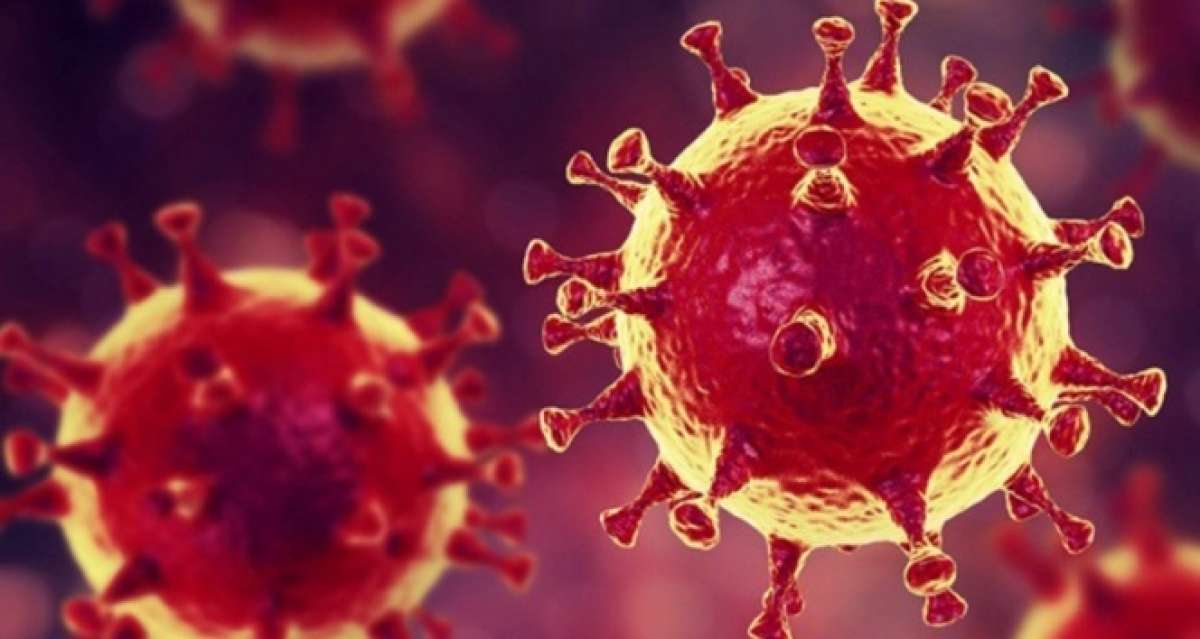 Oxford Üniversitesi Covid-19 aşısının çocuklar üzerindeki etkisini test edecek