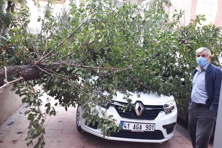 Park halindeki otomobilin üzerine ağaç düştü