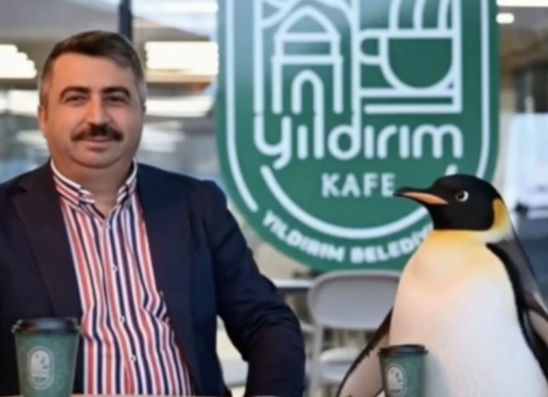 Penguen s&uuml;r&uuml;den ayrılırken belediyeler boş durmadı