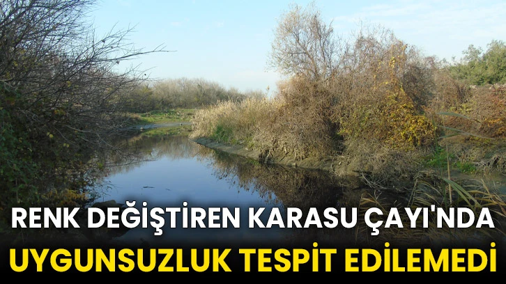 Renk değiştiren Karasu Çayı'nda uygunsuzluk tespit edilemedi