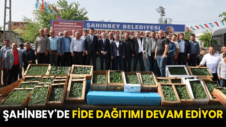 Şahinbey'de fide dağıtımı devam ediyor