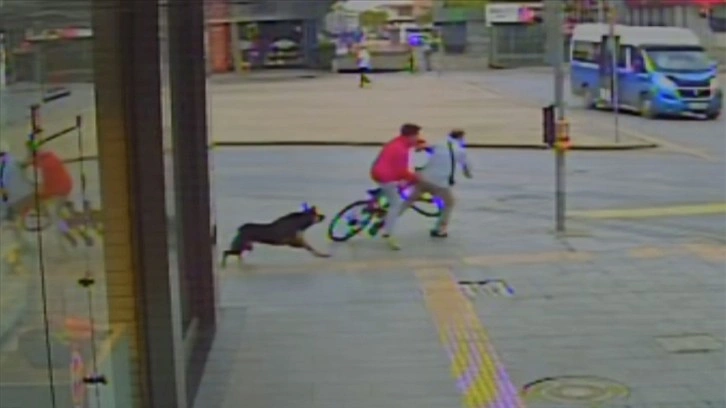 Sakarya'da sahipsiz köpekten kaçan bisikletli çocuğun yayaya çarpması kamerada