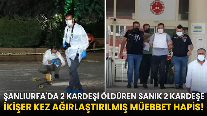 Şanlıurfa'da 2 kardeşi öldüren sanık 2 kardeşe ikişer kez ağırlaştırılmış müebbet hapis!