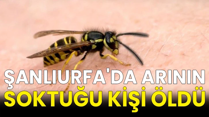 Şanlıurfa'da arının soktuğu kişi öldü