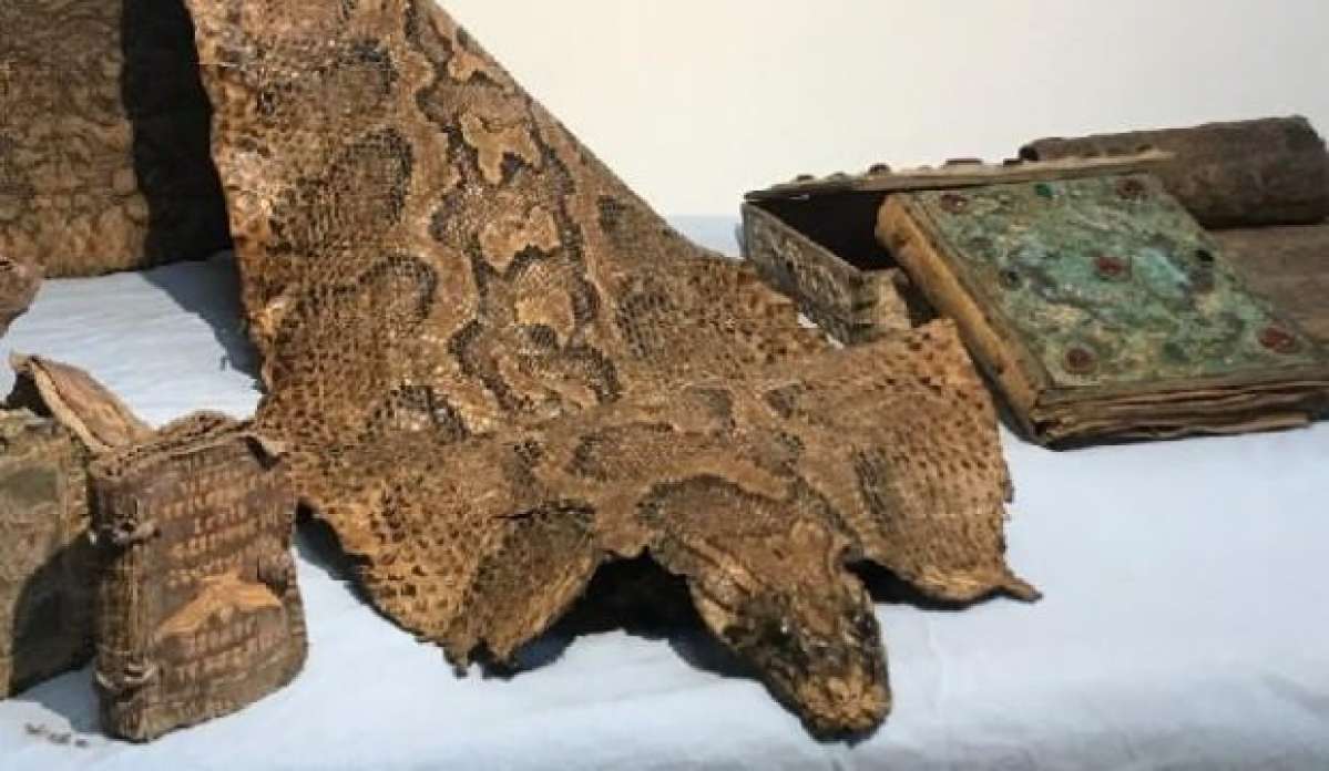 Şanlıurfa’da, Orta Çağ'dan kalma piton derisi ele geçirildi