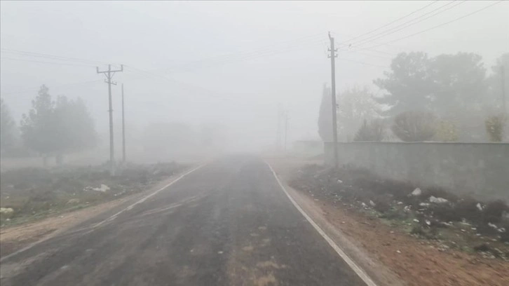 Şanlıurfa'da sis nedeniyle görüş mesafesi 20 metreye kadar düştü