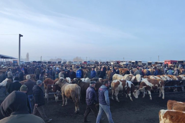 Şap tehlikesiyle kapatılmıştı, açılmasına günler kaldı