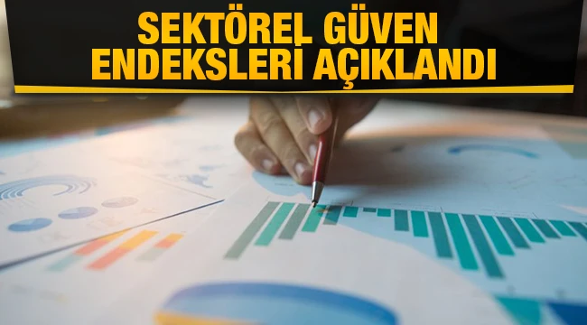 Sektörel Güven Endeksleri açıklandı