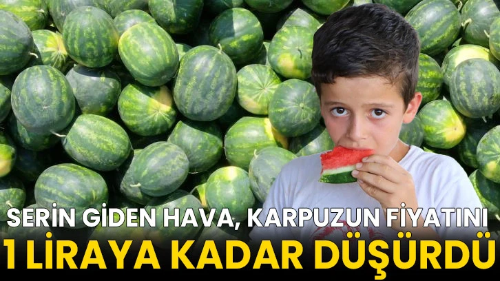 Serin giden hava, karpuzun fiyatını 1 liraya kadar düşürdü