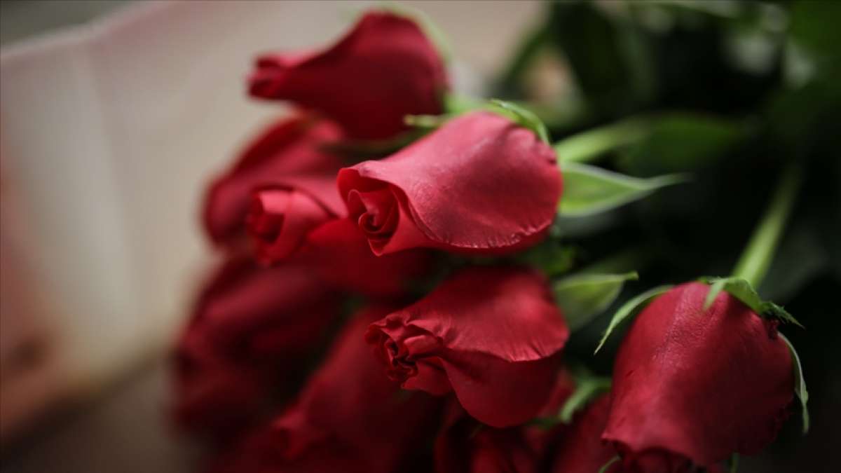 Sevgililer Günü'nde 4,5 milyon civarında gül satışı bekleniyor