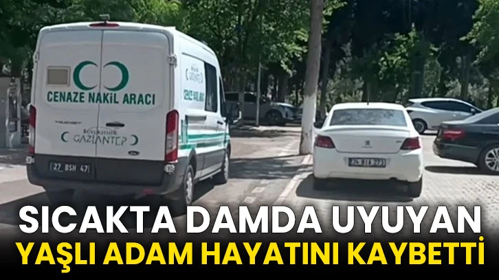 Sıcakta Damda Uyuyan Yaşlı Adam Hayatını Kaybetti