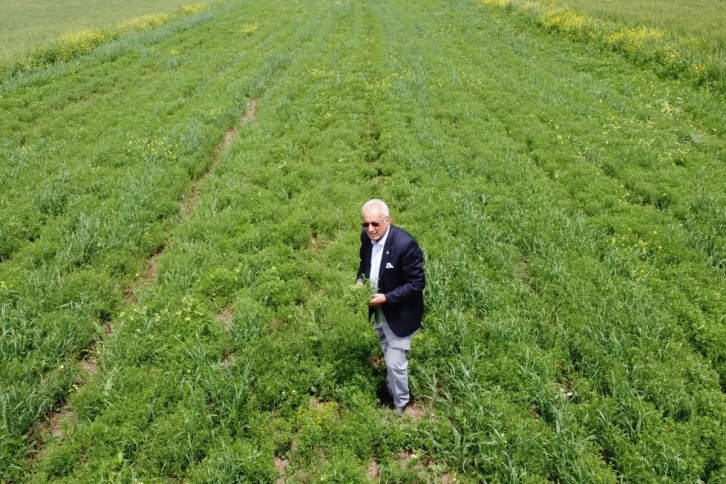 Siirtli çiftçiler hububatta rekor düzeyde ürün bekliyor