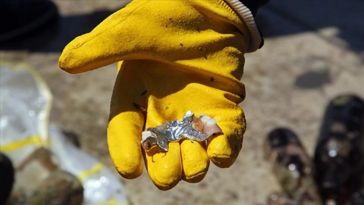 Sinop'ta dalgıçlar deniz dibi temizliği yaptı, denizden 