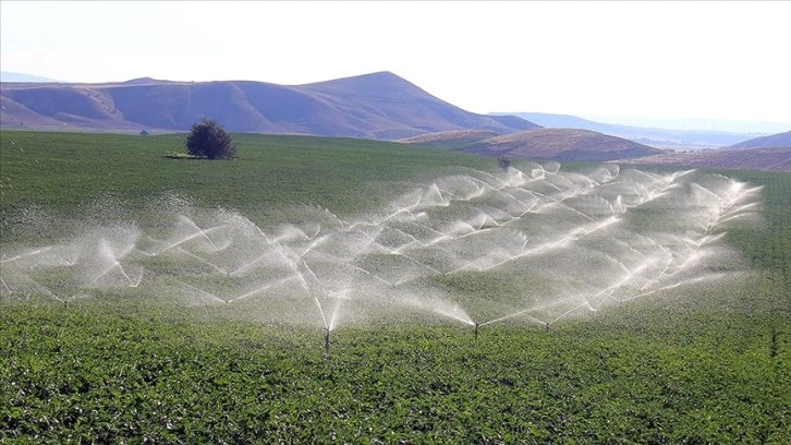 Sivas'ta topraklar suya kavuşunca üreticiler patatesle yurt dışına açıldı