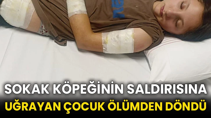 Sokak köpeğinin saldırısına uğrayan çocuk ölümden döndü