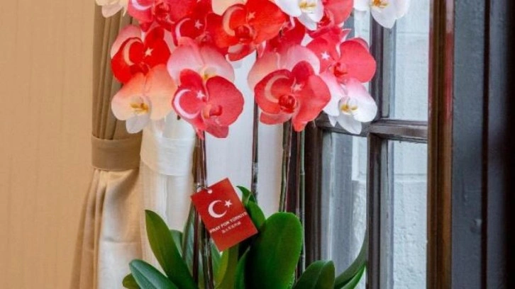 Tayvan liderinden orkideli Türkiye'ye destek mesajı