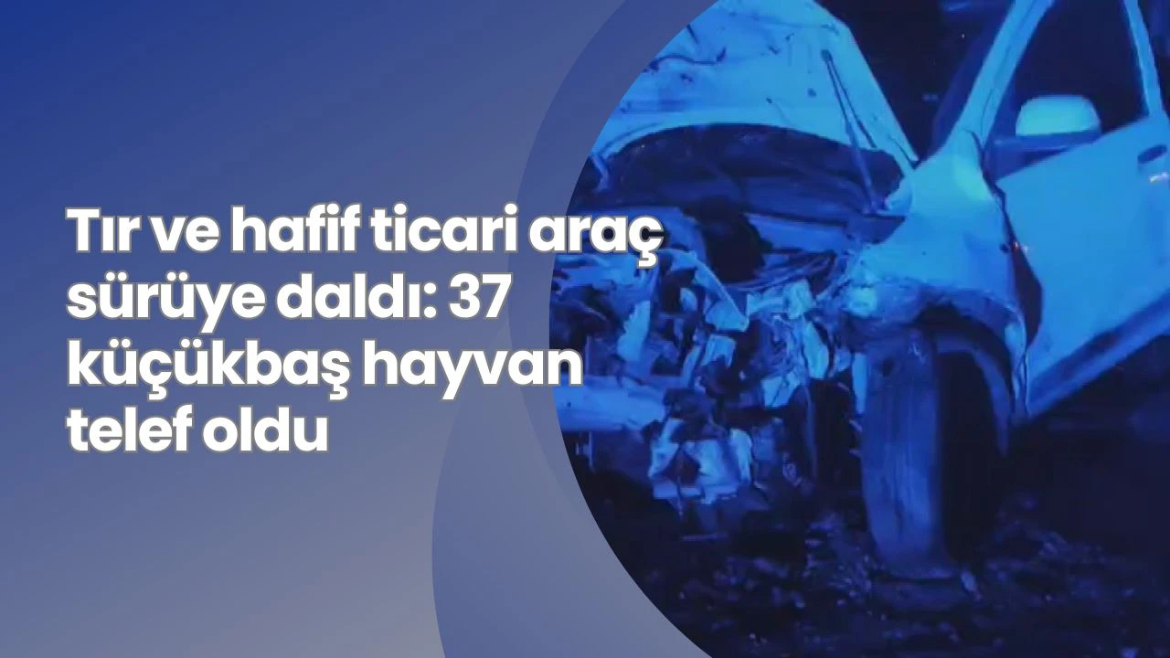Tır ve hafif ticari araç sürüye daldı: 37 küçükbaş hayvan telef oldu