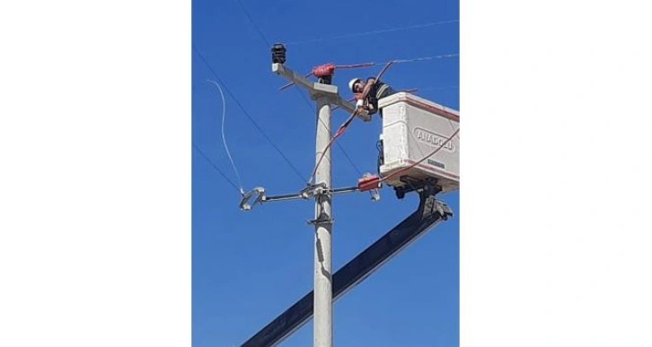 Toroslar EDAŞ, hatlarını yalıtarak kuşların çarpılmasını önlüyor