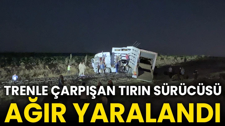 Trenle çarpışan tırın sürücüsü ağır yaralandı