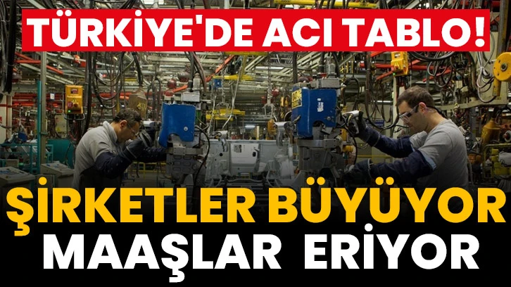 Türkiye'de Acı Tablo! Şirketler Büyüyor Maaşlar Eriyor...