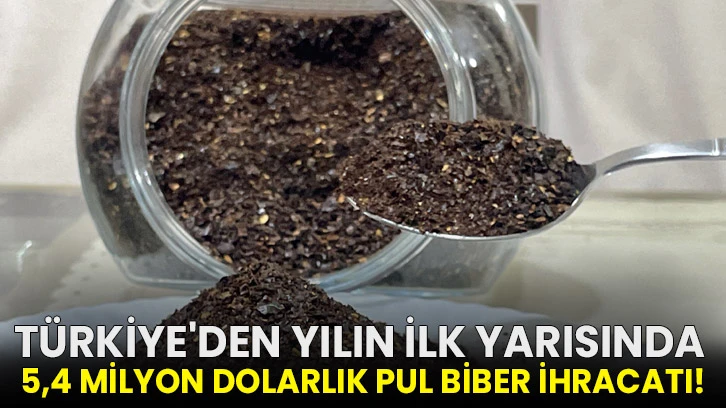 Türkiye'den yılın ilk yarısında 5,4 milyon dolarlık pul biber ihracatı!