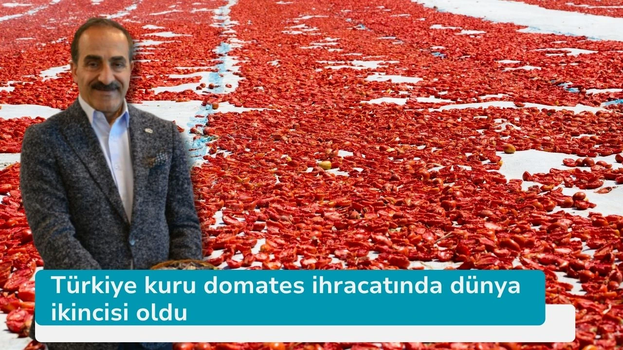 Türkiye kuru domates ihracatında dünya ikincisi oldu