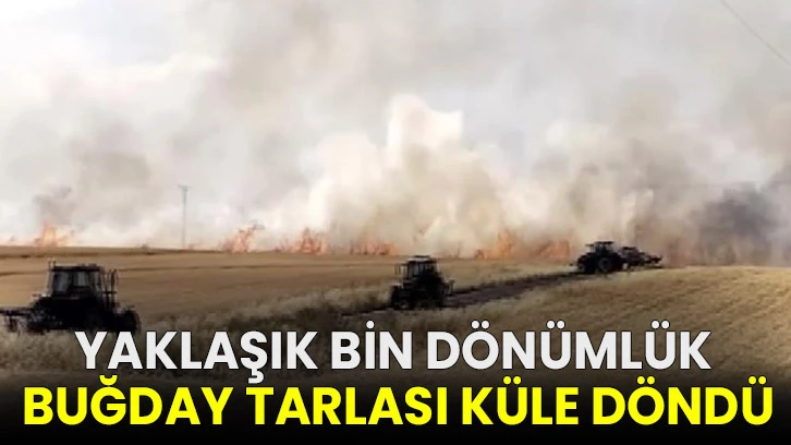 Yaklaşık bin dönümlük buğday tarlası küle döndü