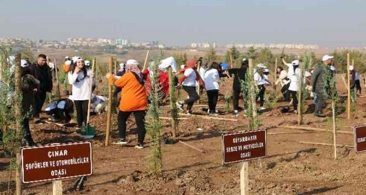 Yüzde 24’ü ormanlık olan Diyarbakır’a 4 bin yeni fidan