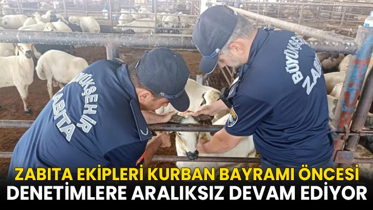 Zabıta ekipleri kurban bayramı öncesi denetimlere aralıksız devam ediyor