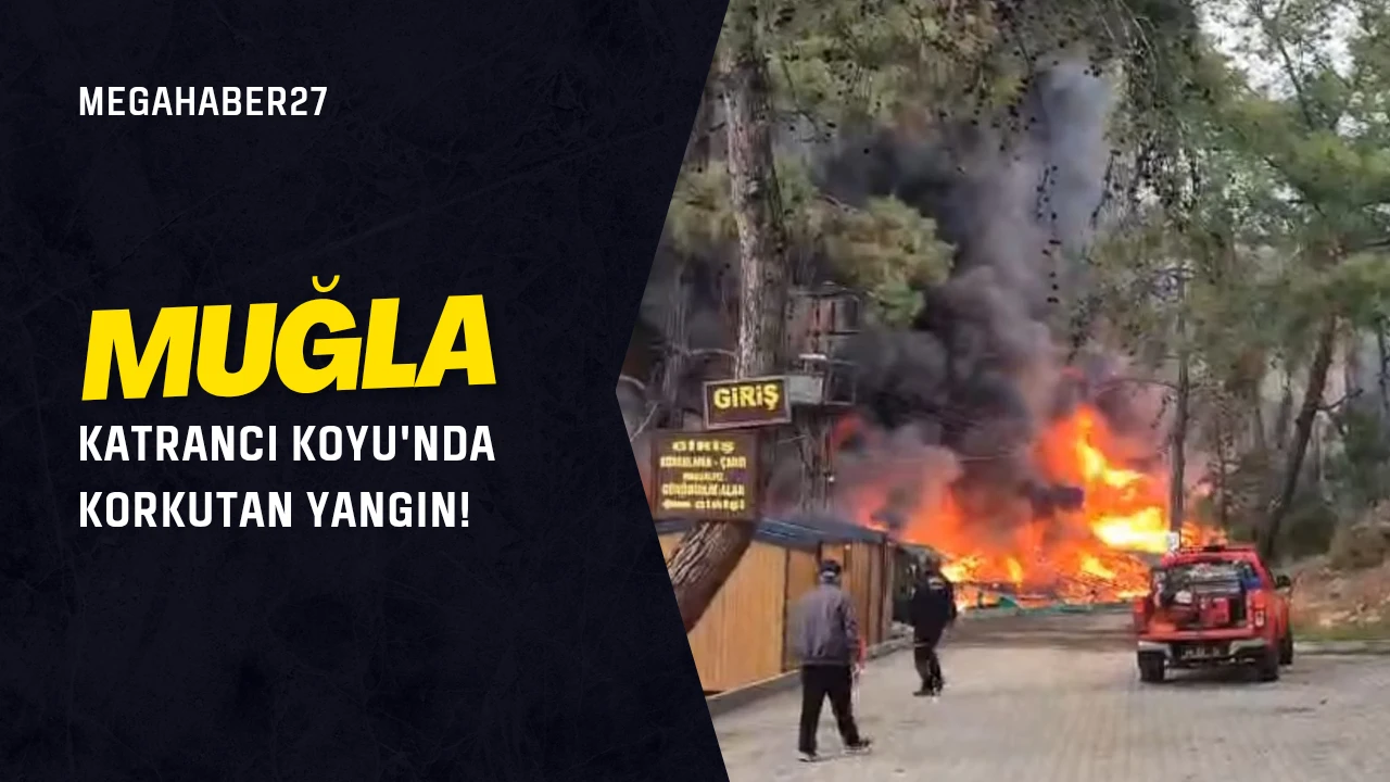 Muğla Katrancı Koyu'nda Korkutan Yangın!