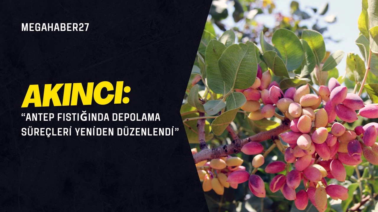 Akıncı: “Antep fıstığında depolama süreçleri yeniden düzenlendi”