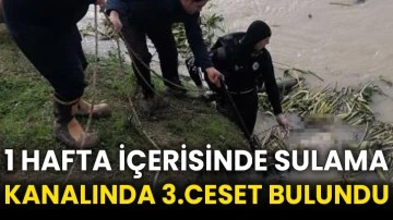1 hafta içerisinde sulama kanalında 3.ceset bulundu